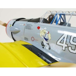 seagull-at-6-texan-46-52-k160cm-sea110-7230-52-b