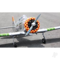 texan2