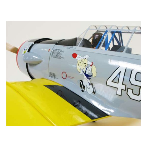 seagull-at-6-texan-46-52-k160cm-sea110-7230-52-b
